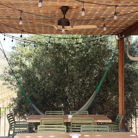 Alma Liebre Vinedos Del Valle Valle de Guadalupe Exterior foto