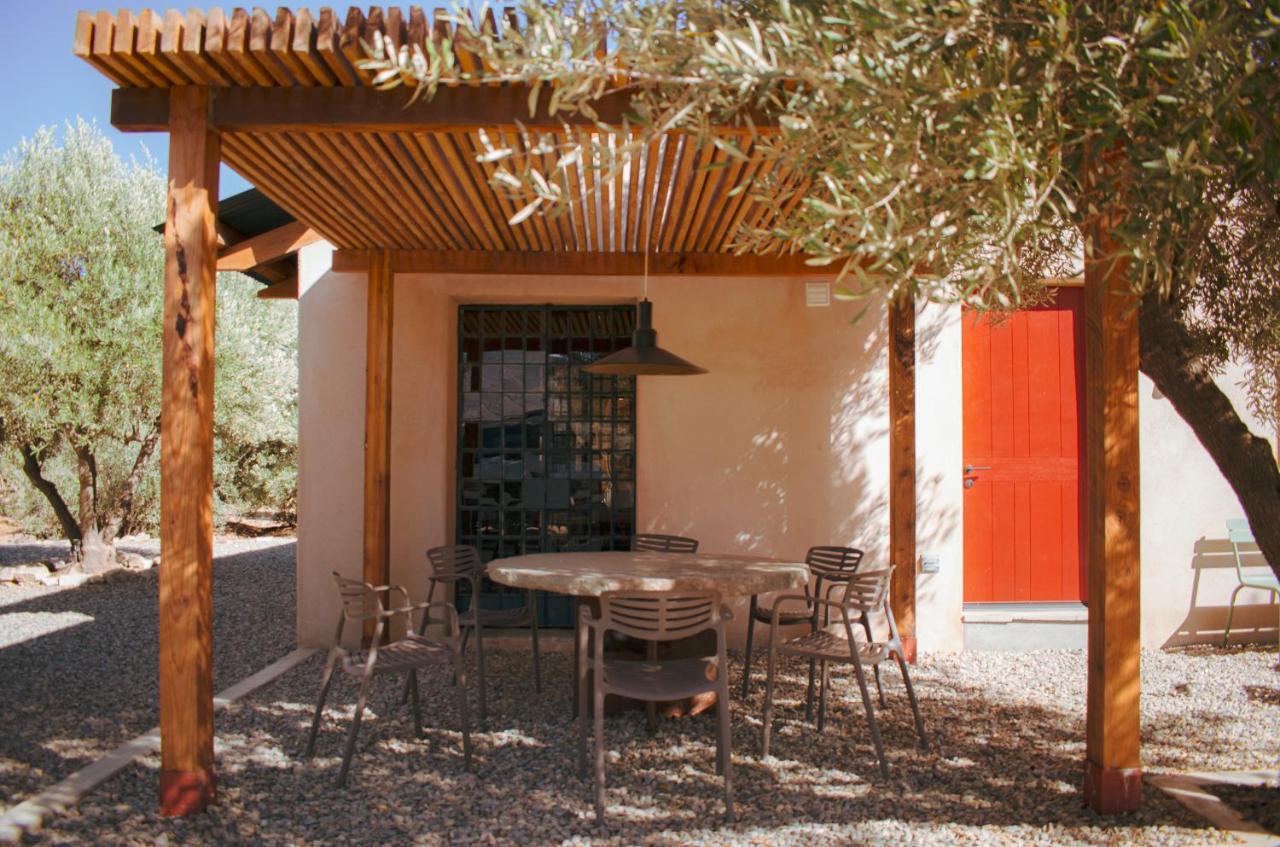 Alma Liebre Vinedos Del Valle Valle de Guadalupe Exterior foto