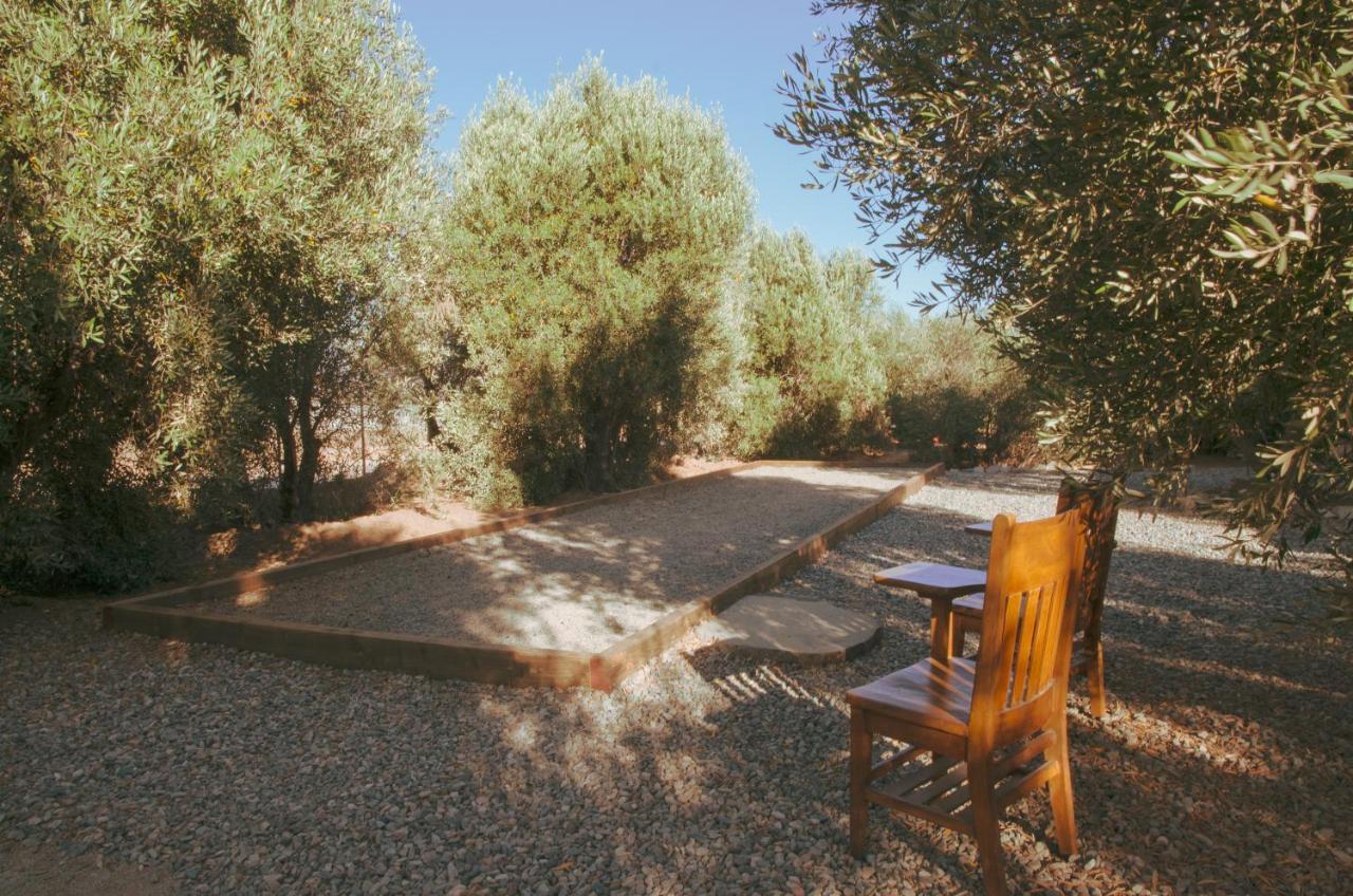 Alma Liebre Vinedos Del Valle Valle de Guadalupe Exterior foto