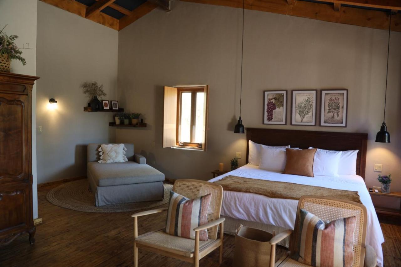 Alma Liebre Vinedos Del Valle Valle de Guadalupe Exterior foto