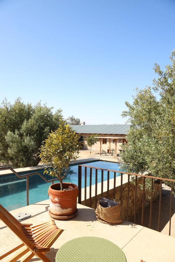 Alma Liebre Vinedos Del Valle Valle de Guadalupe Exterior foto