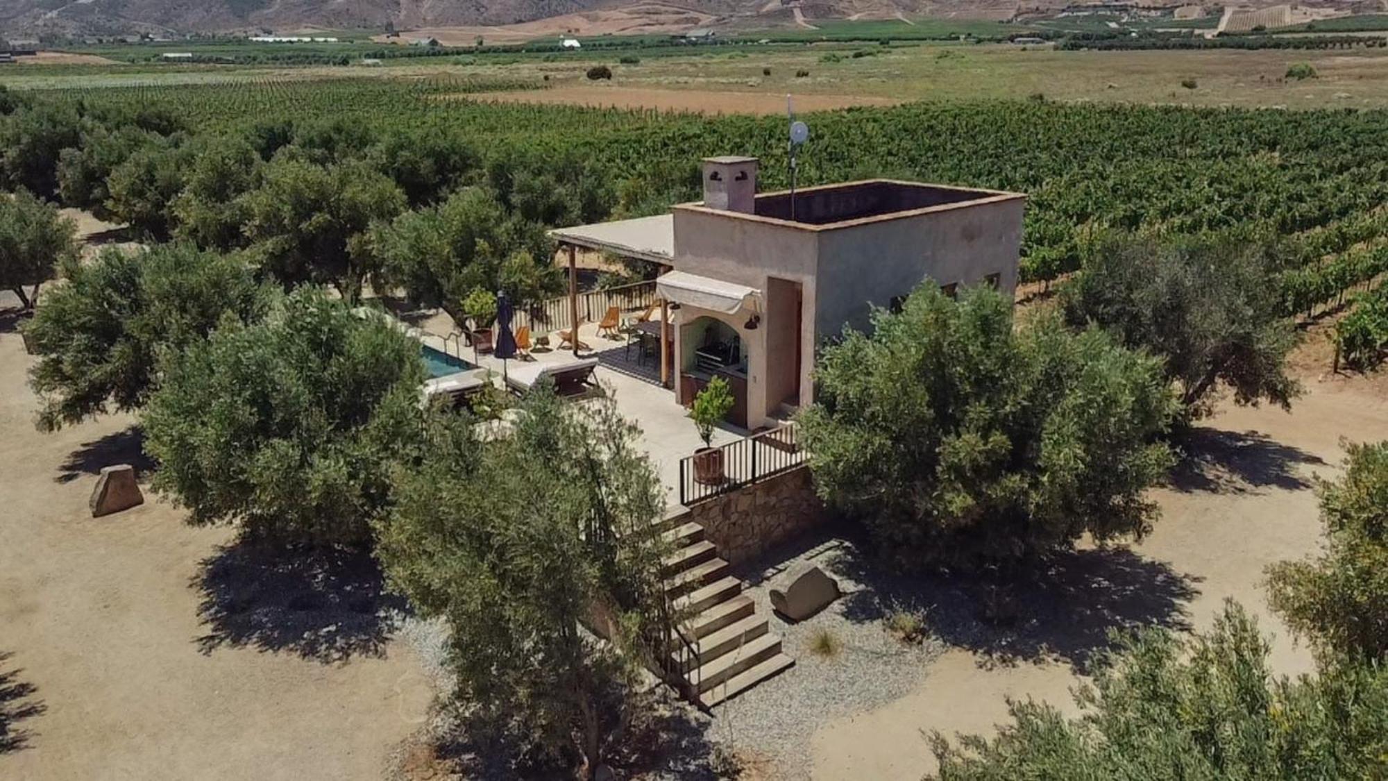Alma Liebre Vinedos Del Valle Valle de Guadalupe Exterior foto