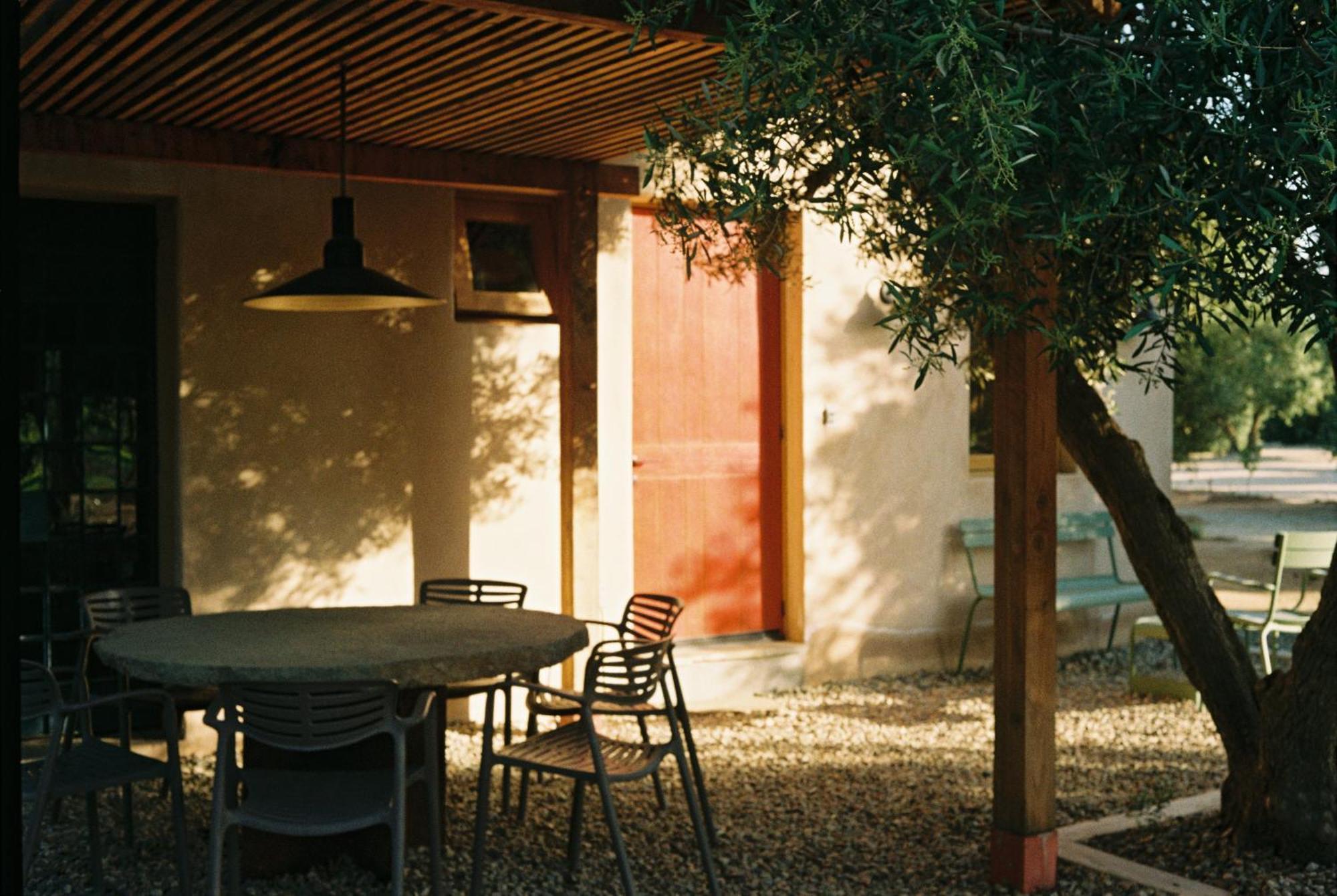Alma Liebre Vinedos Del Valle Valle de Guadalupe Exterior foto