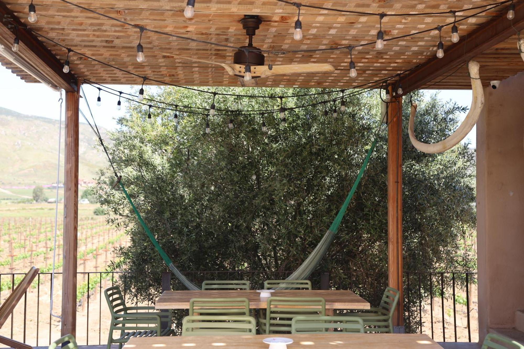 Alma Liebre Vinedos Del Valle Valle de Guadalupe Exterior foto