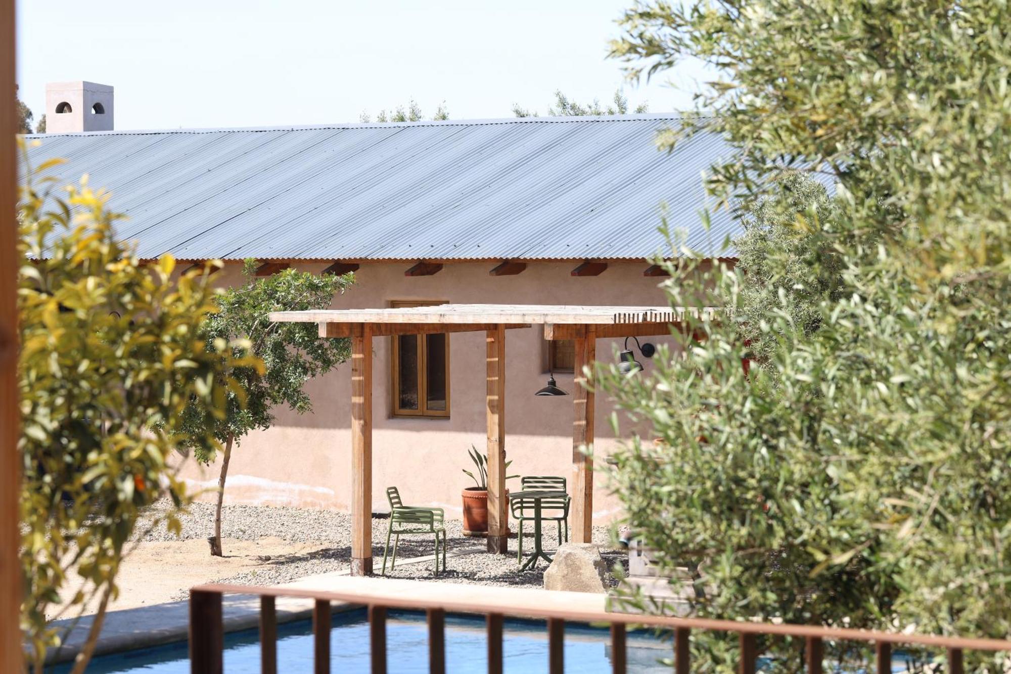 Alma Liebre Vinedos Del Valle Valle de Guadalupe Exterior foto