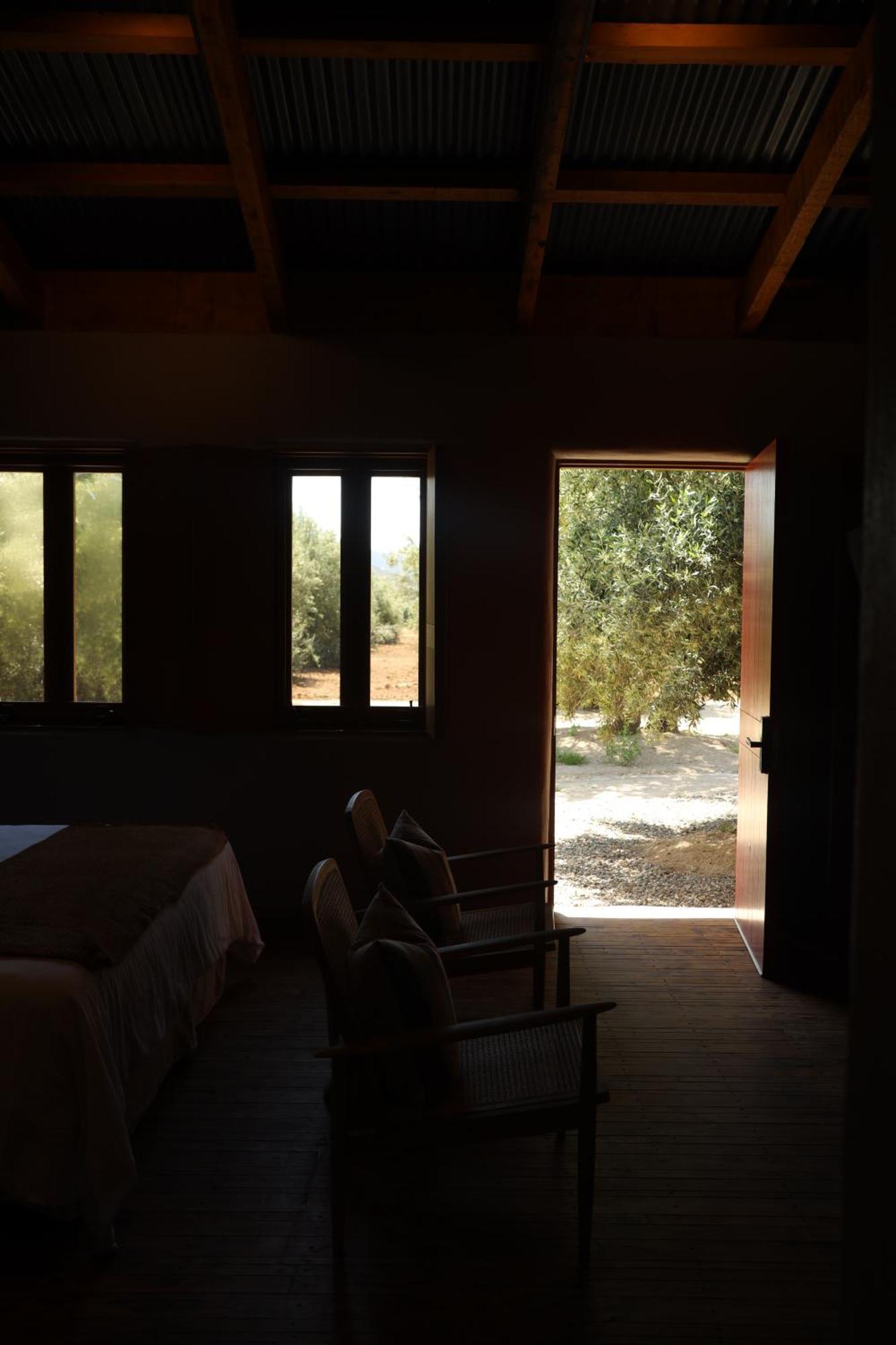 Alma Liebre Vinedos Del Valle Valle de Guadalupe Exterior foto