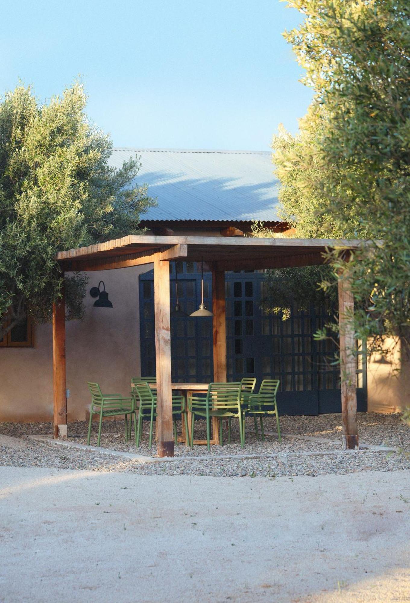 Alma Liebre Vinedos Del Valle Valle de Guadalupe Exterior foto